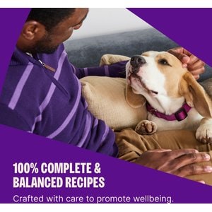 Wellness Complete Health Small Breed Senior Wholesome Grains Natural Turkey & Peas Dry Dog Food, 4-lb bag