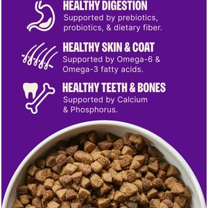 Wellness Complete Health Small Breed Senior Wholesome Grains Natural Turkey & Peas Dry Dog Food, 4-lb bag