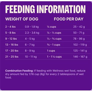 Wellness Complete Health Small Breed Senior Wholesome Grains Natural Turkey & Peas Dry Dog Food, 4-lb bag