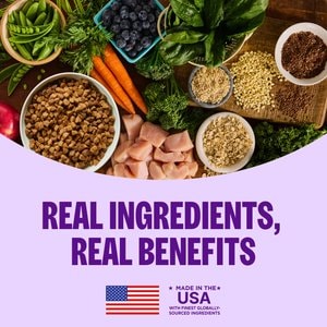 Wellness Complete Health Small Breed Senior Wholesome Grains Natural Turkey & Peas Dry Dog Food, 4-lb bag