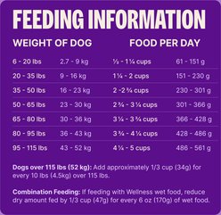 Wellness CORE Adult Grain-Free High-Protein Natural Lamb Dry Dog Food, 22-lb bag slide 2 of 9