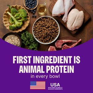 Wellness CORE Adult Grain-Free High-Protein Natural Turkey & Chicken Dry Dog Food, 26-lb bag