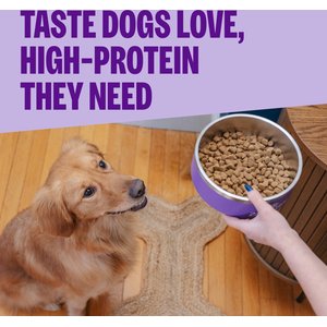 Wellness CORE Adult Grain-Free High-Protein Natural Turkey & Chicken Dry Dog Food, 26-lb bag