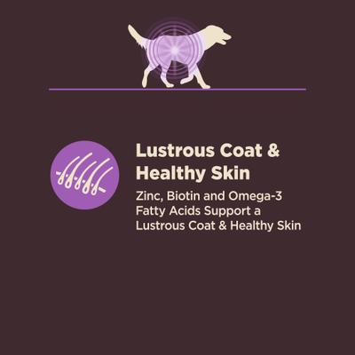 Show full view: Wellness CORE Digestive Health Age Advantage Senior Chicken & Brown Rice Dry Dog Food, 24-lb bag slide 6 of 12