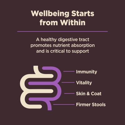 Show full view: Wellness CORE Digestive Health Age Advantage Senior Chicken & Brown Rice Dry Dog Food, 4-lb bag slide 3 of 12