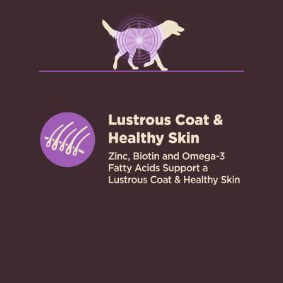Show full view: Wellness CORE Digestive Health Age Advantage Senior Chicken & Brown Rice Dry Dog Food, 4-lb bag slide 7 of 12