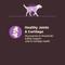 Show in main carousel: Wellness CORE Digestive Health Age Advantage Senior Chicken & Brown Rice Dry Dog Food, 4-lb bag slide 8 of 12