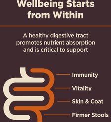 Wellness CORE Digestive Health Chicken & Brown Rice Dry Dog Food, 24-lb bag slide 2 of 8