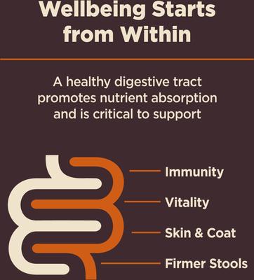 Show full view: Wellness CORE Digestive Health Chicken & Brown Rice Dry Dog Food, 24-lb bag slide 3 of 11