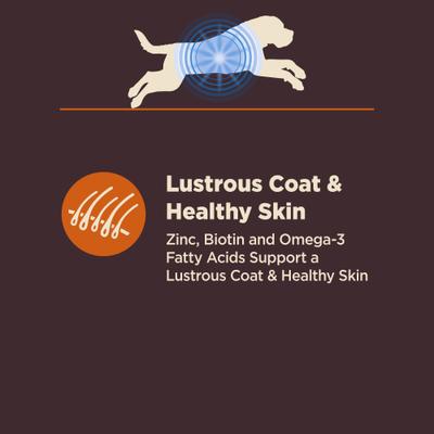 Show full view: Wellness CORE Digestive Health Chicken & Brown Rice Dry Dog Food, 24-lb bag slide 7 of 11