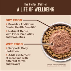 Wellness CORE+ Digestive Health Chicken Pate Grain-Free Natural Wet Cat Food, 3-oz can, case of 12 slide 2 of 8