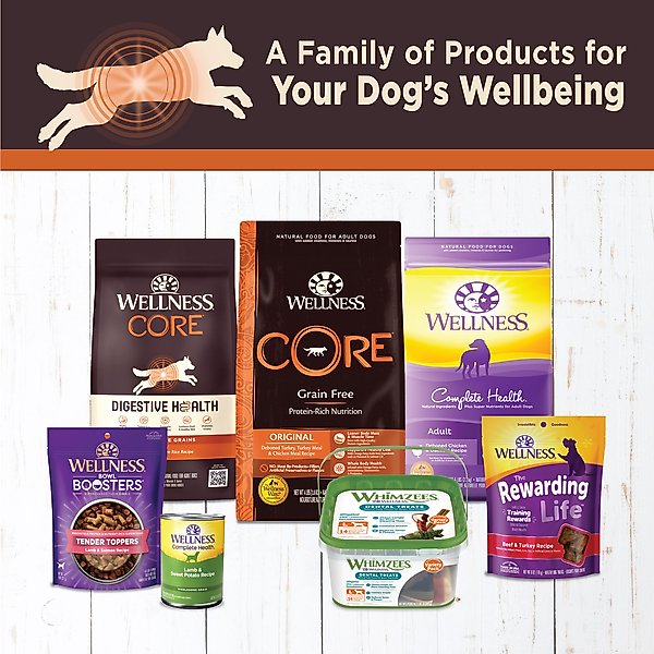 Wellness Core Digestive Health Dog Food Reviews WELLNESS CORE Digestive Health Chicken Recipe Grain-Free Wet Dog Food