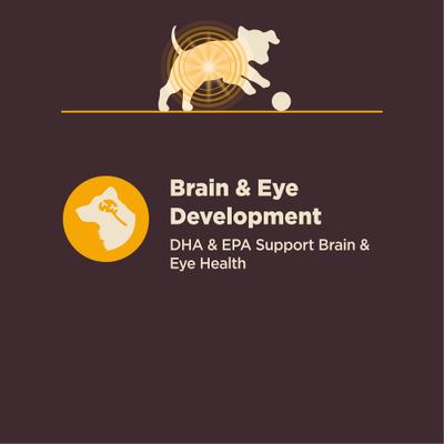 Show full view: Wellness CORE Digestive Health Puppy Chicken & Brown Rice Dry Dog Food, 24-lb bag slide 9 of 13