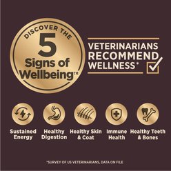Wellness CORE Digestive Health Sensitive Stomach Puppy Wholesome Grains High-Protein Natural Chicken Dry Dog Food, 4-lb bag slide 2 of 8