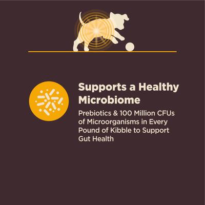 Show full view: Wellness CORE Digestive Health Puppy Chicken & Brown Rice Dry Dog Food, 4-lb bag slide 5 of 12