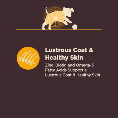 Show full view: Wellness CORE Digestive Health Puppy Chicken & Brown Rice Dry Dog Food, 4-lb bag slide 6 of 12