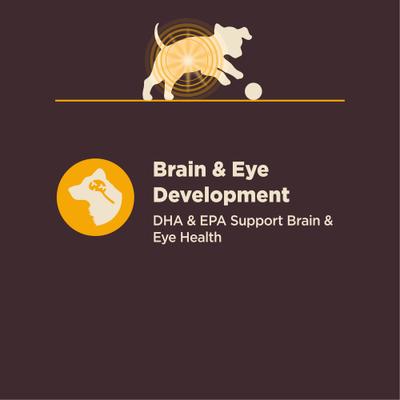 Show full view: Wellness CORE Digestive Health Puppy Chicken & Brown Rice Dry Dog Food, 4-lb bag slide 7 of 12