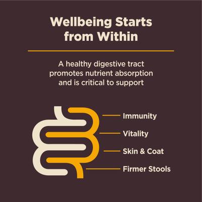 Show full view: Wellness CORE Digestive Health Puppy Chicken & Brown Rice Dry Dog Food, 4-lb bag slide 9 of 12