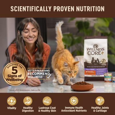 Show full view: Wellness CORE Digestive Health Salmon Pate Recipe Grain-Free Wet Cat Food, 3-oz, case of 12 & Wellness CORE Digestive Health Wholesome Grains Salmon & Rice Recipe Dry Cat Food, 11-lb bag slide 5 of 9