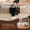 Show in main carousel: Wellness CORE Digestive Health Salmon Pate Recipe Grain-Free Wet Cat Food, 3-oz, case of 12 & Wellness CORE Digestive Health Wholesome Grains Salmon & Rice Recipe Dry Cat Food, 5-lb bag slide 9 of 9