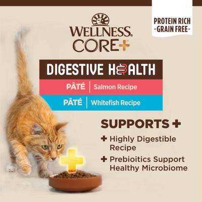 Show full view: Wellness CORE Digestive Health Salmon & Whitefish Pate Grain-Free Variety Pack Wet Cat Food, 3-oz, case of 12 slide 3 of 11