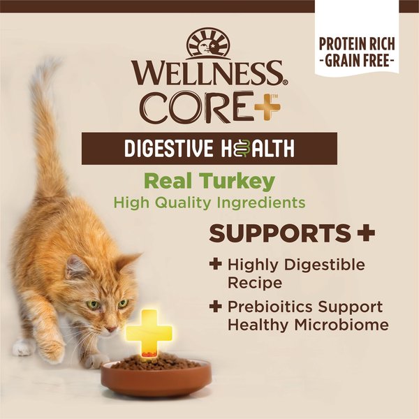 Wellness CORE+ Digestive Health Turkey Pate Grain-Free Natural Wet Cat Food, 3-oz can, case of 12