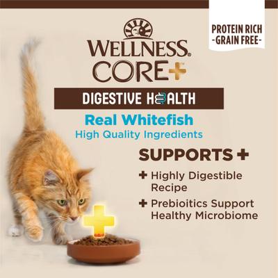Show full view: Wellness CORE+ Digestive Health Whitefish Pate Grain-Free Natural Wet Cat Food, 3-oz can, case of 12 slide 3 of 11