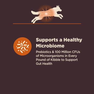 Show full view: Wellness CORE Digestive Health Wholesome Grains Chicken & Brown Rice Recipe Dry Dog Food, 24-lb bag slide 5 of 12