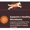 Show in main carousel: Wellness CORE Digestive Health Wholesome Grains Chicken & Brown Rice Recipe Dry Dog Food, 4-lb bag slide 5 of 12