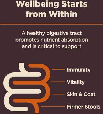 Show full view: Wellness CORE Digestive Health Wholesome Grains Chicken & Brown Rice Recipe Dry Dog Food, 4-lb bag slide 7 of 12