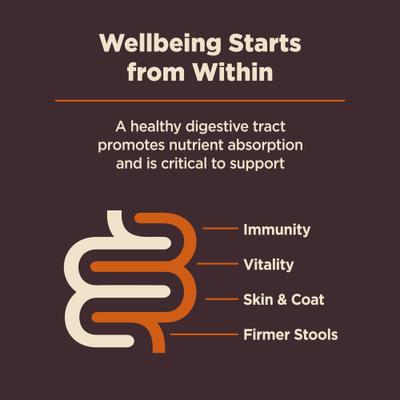 Show full view: Wellness CORE Digestive Health Wholesome Grains Chicken & Brown Rice Recipe Dry Food + Bowl Boosters Digestive Health Dry Dog Food Topper slide 9 of 10