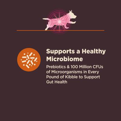 Show full view: Wellness CORE Digestive Health Wholesome Grains Chicken & Brown Rice Recipe Small Breed Dry Dog Food, 4-lb bag slide 5 of 12