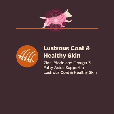 Show full view: Wellness CORE Digestive Health Wholesome Grains Chicken & Brown Rice Recipe Small Breed Dry Dog Food, 4-lb bag slide 6 of 12