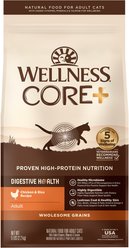 Wellness CORE Digestive Health Wholesome Grains Chicken & Rice Recipe Dry Cat Food, 5-lb bag