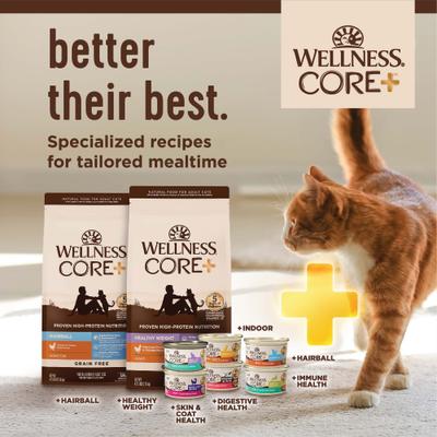 Show full view: Wellness CORE Digestive Health Wholesome Grains Chicken & Rice Recipe Dry Cat Food, 5-lb bag slide 7 of 10