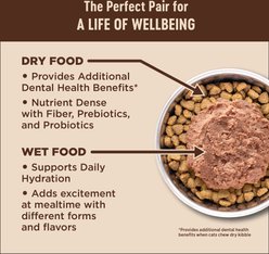 Wellness CORE Digestive Health Wholesome Grains Salmon & Rice Recipe Dry Cat Food, 11-lb bag slide 2 of 7