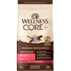 Wellness CORE Digestive Health Wholesome Grains Salmon & Rice Recipe Dry Cat Food, 5-lb bag