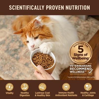 Show full view: Wellness CORE Grain-Free Kitten Formula Natural Dry Cat Food, 5-lb bag slide 6 of 12