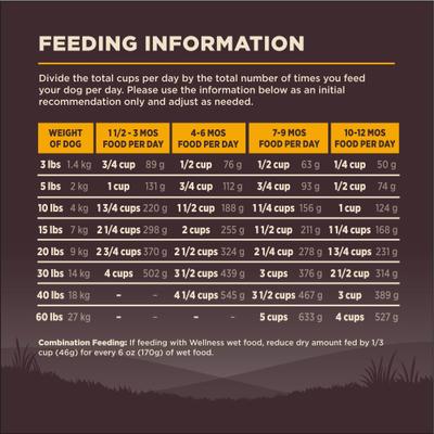 Show full view: Wellness CORE Grain-Free Puppy Chicken & Turkey Recipe Dry Dog Food, 26-lb bag slide 9 of 12