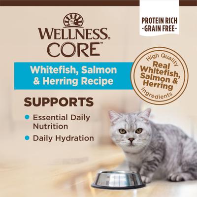 Show full view: Wellness CORE Grain-Free Salmon, Whitefish & Herring Pate Canned Cat Food, 3-oz, case of 12 slide 3 of 12