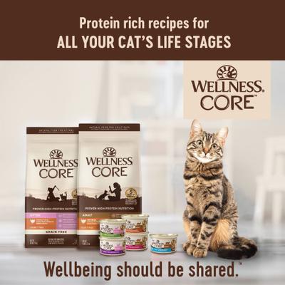 Show full view: Wellness CORE Grain-Free Salmon, Whitefish & Herring Pate Canned Cat Food, 5.5-oz, case of 24 slide 9 of 13