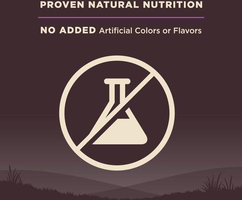 Show full view: Wellness CORE Grain-Free Senior Deboned Turkey Recipe Dry Dog Food, 24-lb bag slide 6 of 12