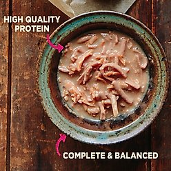 Wellness CORE Grain-Free Small Breed Mini Meals Shredded Chicken & Turkey in Gravy Dog Food Pouches, 3-oz, case of 12 slide 2 of 9