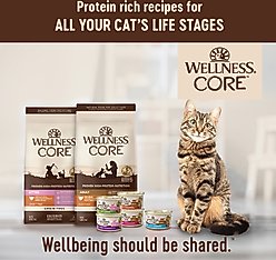 Wellness CORE Grain-Free Turkey, Turkey Meal & Duck Formula Natural Dry Cat Food, 11-lb bag slide 2 of 8
