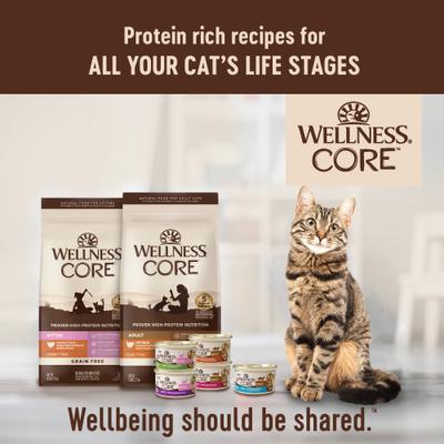 Show full view: Wellness CORE Grain-Free Turkey, Turkey Meal & Duck Formula Natural Dry Cat Food, 11-lb bag slide 8 of 12