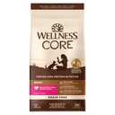 Wellness CORE Grain-Free Turkey, Turkey Meal & Duck Formula Natural Dry Cat Food, 5-lb bag