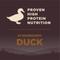 Show in main carousel: Wellness CORE Grain-Free Wild Game Duck, Lamb Meal, Boar & Rabbit Recipe Natural Dry Dog Food, 12-lb bag slide 5 of 12