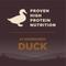 Show in main carousel: Wellness CORE Grain-Free Wild Game Duck, Lamb Meal, Boar & Rabbit Recipe Natural Dry Dog Food, 26-lb bag slide 5 of 12