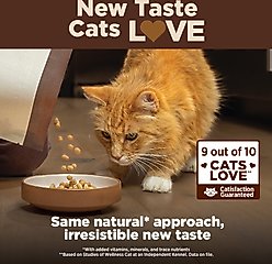 Wellness CORE+ Healthy Weight Poultry Natural High-Protein Dry Cat Food, 4.75-lb bag slide 2 of 9