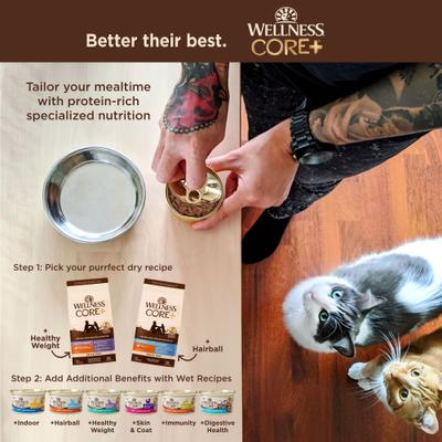 Show full view: Wellness CORE+ Healthy Weight Poultry Natural High-Protein Dry Cat Food, 4.75-lb bag slide 7 of 12